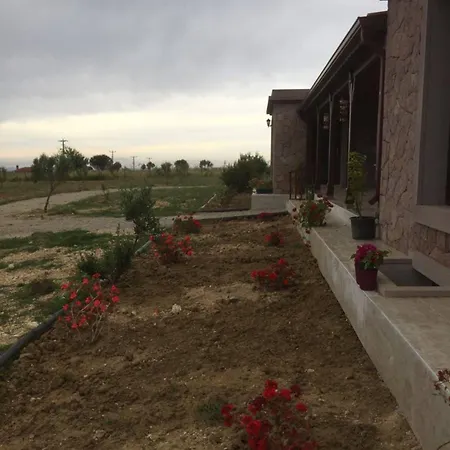 Elyada Ve Bag Evi 8 Yas Uestue 2*