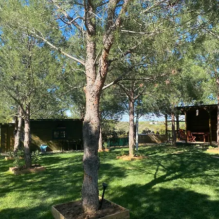 Elyada Ve Bag Evi 8 Yas Uestue 2*