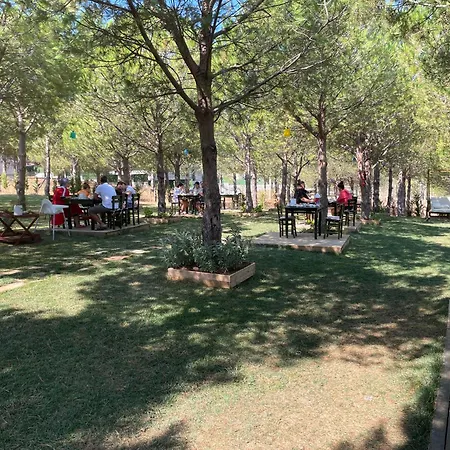 Elyada Ve Bag Evi 8 Yas Uestue 2*