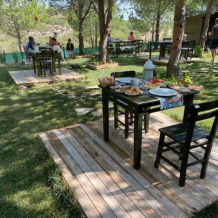 Elyada Ve Bag Evi 8 Yas Uestue