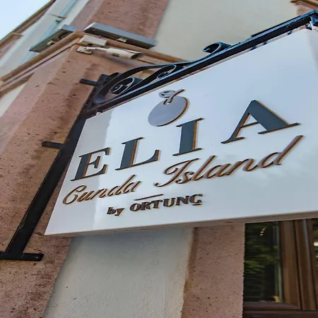 Elyada Ve Bag Evi 8 Yas Uestue