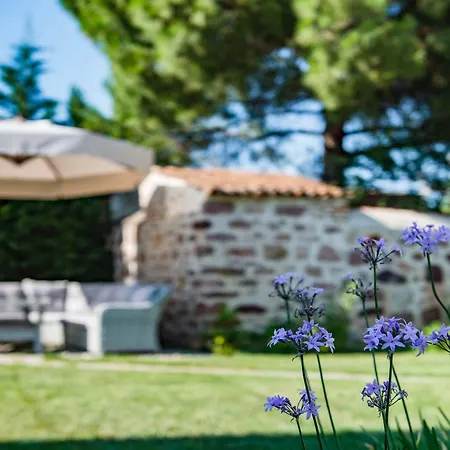 Elyada Ve Bag Evi 8 Yas Uestue